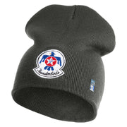 USAF Thunderbirds Symbol Embroidered 8" Short Beanie - Charcoal OSFM
