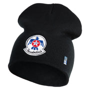 USAF Thunderbirds Symbol Embroidered 8" Short Beanie - Black OSFM