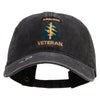 Licensed 1st Special Forces Command Veteran Embroidered Washed Solid Pigment Dyed Cotton Twill Brass Buckle Cap - Black OSFM