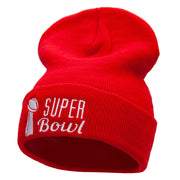 Super Bowl Embroidered 12 Inch Long Knitted Beanie