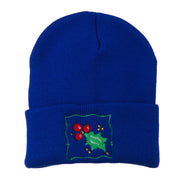 Christmas Mistletoe with Frame Embroidered Beanie