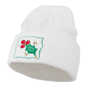 Christmas Mistletoe with Frame Embroidered Beanie