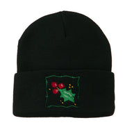 Christmas Mistletoe with Frame Embroidered Beanie