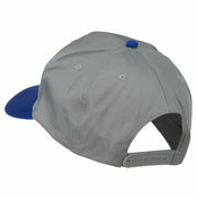 NASA Patched Two Tone Pro Style Cap