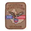 Operation Desert Storm and Enduring Patch