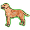 Pet Embroidered Patch