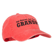 Not Retired Promoted Grandpa Embroidered Washed Cotton Twill Cap