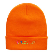 That Desert Thing Acronym Embroidered Long Knitted Beanie