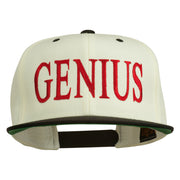 Genius Embroidered Two Toned Snapback Cap