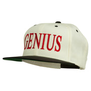 Genius Embroidered Two Toned Snapback Cap