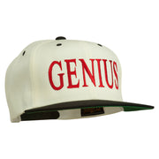 Genius Embroidered Two Toned Snapback Cap