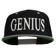 Genius Embroidered Two Toned Snapback Cap