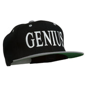 Genius Embroidered Two Toned Snapback Cap