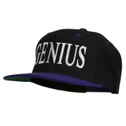 Genius Embroidered Two Toned Snapback Cap