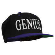 Genius Embroidered Two Toned Snapback Cap