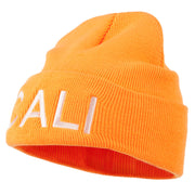 Cali Embroidered Neon Long Beanie