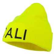 Cali Embroidered Neon Long Beanie