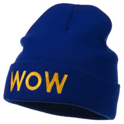 Wow Embroidered Long Knit Beanie