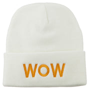 Wow Embroidered Long Knit Beanie