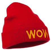 Wow Embroidered Long Knit Beanie