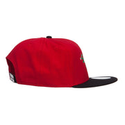 Santa Claus Embroidered Snapback Cap