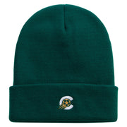 Soccer Logo Embroidered 12 Inch Long Knitted Beanie - Dk-Green OSFM